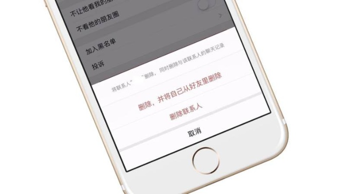 微信双向删除好友版本，实地验证数据应用_钻石版_v3.866，创意工作的新维度