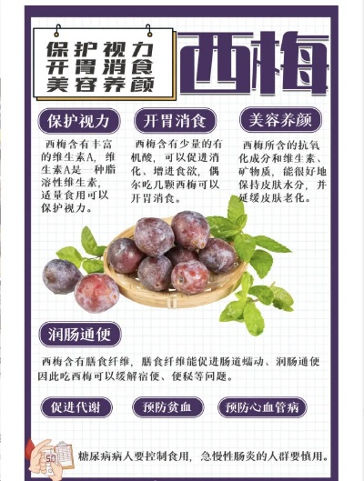 西梅官方下载,可靠操作策略方案_尊贵款_v1.191