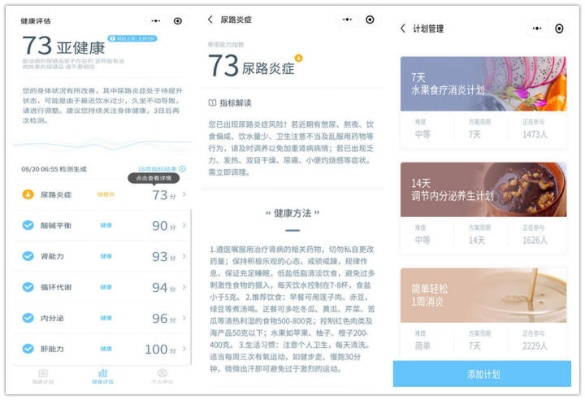 飞燕化龙