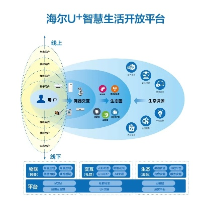 app应用