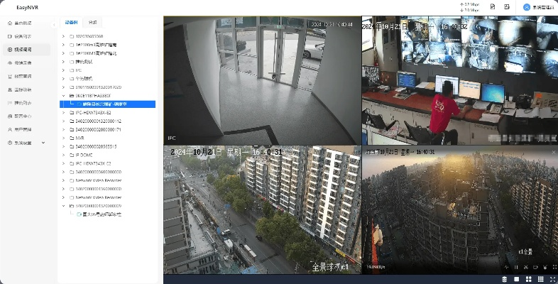 家卫视安防版安卓版本是一款专业的安防监控软件，其多元方案执行策略R版v6.804版本为用户提供了全面的安全解决方案。以下是通过对比表格的形式介绍其免费版与专业版功能差异的详细内容。