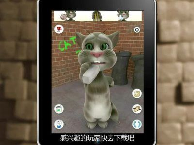 网络安全顾问眼中的会说话的汤姆猫官方下载,实地验证分析策略_Holo_v4.314,全面解析网络威胁与防御策略