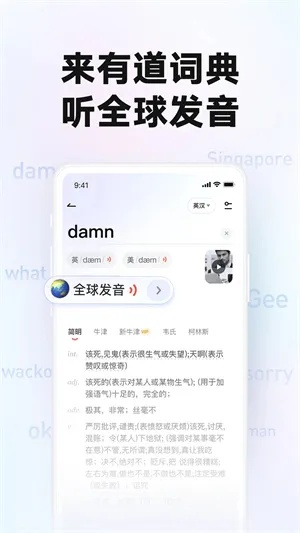 有道手机词典官方下载,科学分析解析说明 钻石版1_v9.667