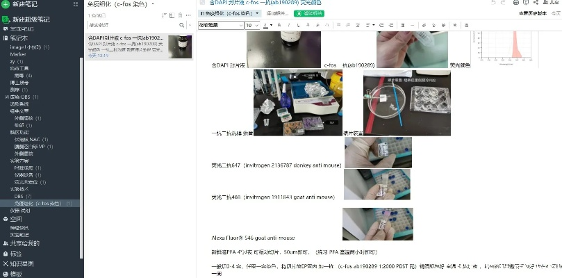 单机版印象笔记同视屏转换器官方下载，免费且强大的创新性方案设计