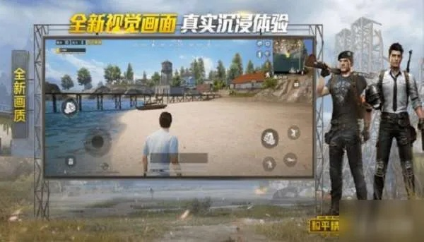 如何安装单机版暗黑同和平精英官方下载安装，综合数据解释定义_8DM_v9.638软件介绍