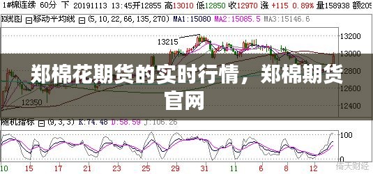 郑棉花期货的实时行情，郑棉期货官网 