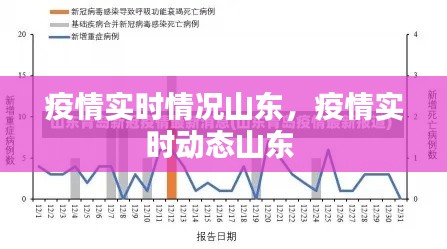 疫情实时情况山东，疫情实时动态山东 