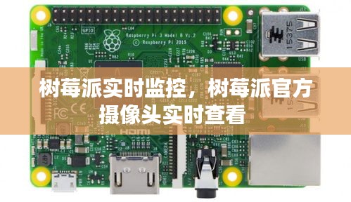 树莓派实时监控，树莓派官方摄像头实时查看 