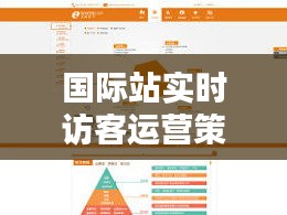 国际站实时访客运营策略，国际站访客营销限制f12 