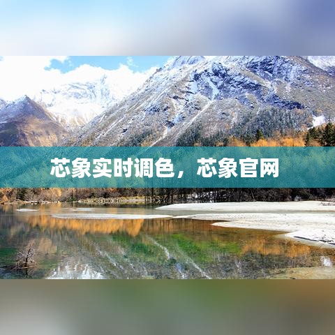 芯象实时调色，芯象官网 