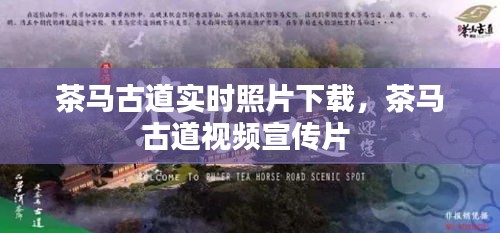 茶马古道实时照片下载，茶马古道视频宣传片 