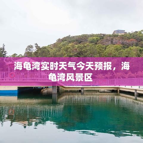 海龟湾实时天气今天预报，海龟湾风景区 