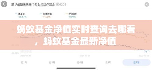 蚂蚁基金净值实时查询去哪看，蚂蚁基金最新净值 