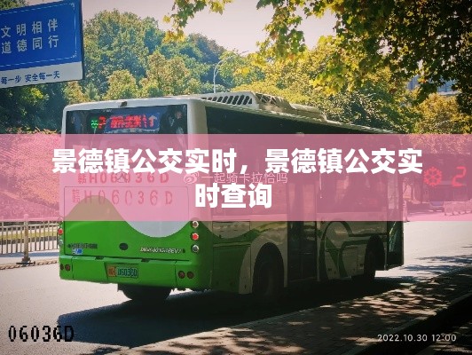 景德镇公交实时，景德镇公交实时查询 