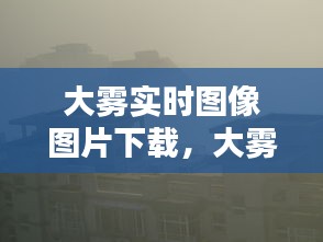 大雾实时图像图片下载，大雾实拍 
