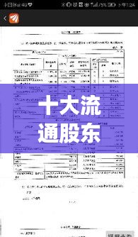 十大流通股东实时查看，10大流通股东怎么看 