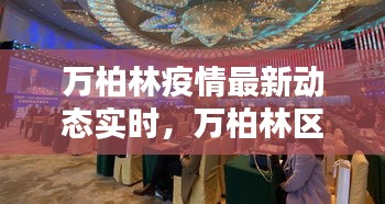 万柏林疫情最新动态实时，万柏林区最新消息 