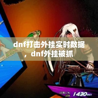 dnf打击外挂实时数据，dnf外挂被抓 