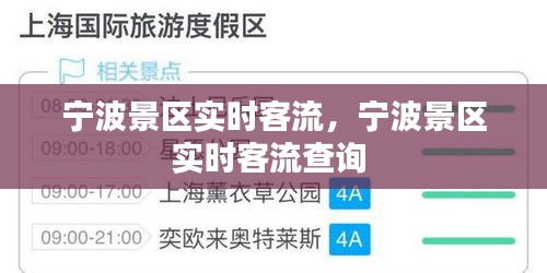 宁波景区实时客流，宁波景区实时客流查询 