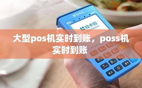 大型pos机实时到账，poss机实时到账 