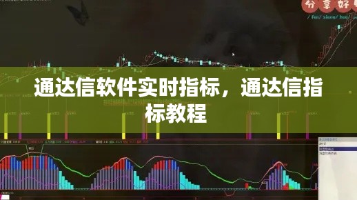 通达信软件实时指标，通达信指标教程 