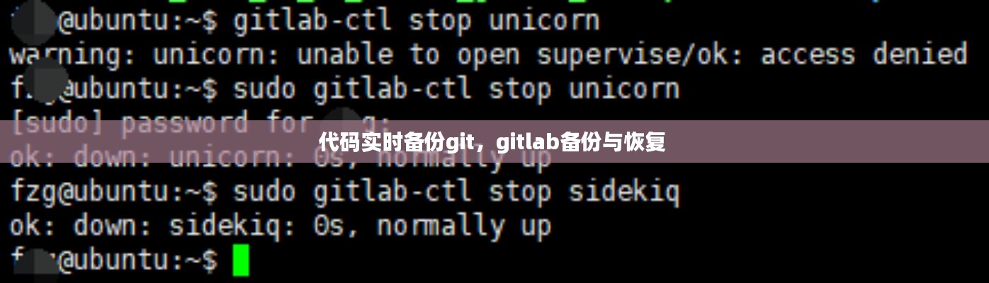 代码实时备份git，gitlab备份与恢复 