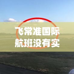 飞常准国际航班没有实时动态吗，飞常准怎么查询国航全部航班 