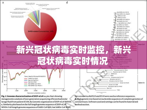 新兴冠状病毒实时监控，新兴冠状病毒实时情况 