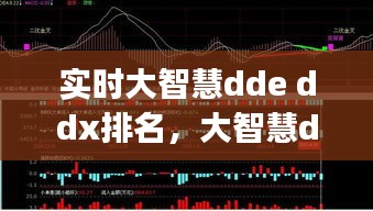 实时大智慧dde ddx排名，大智慧ddx ddy指标 