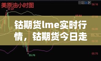 钴期货lme实时行情，钴期货今日走势 
