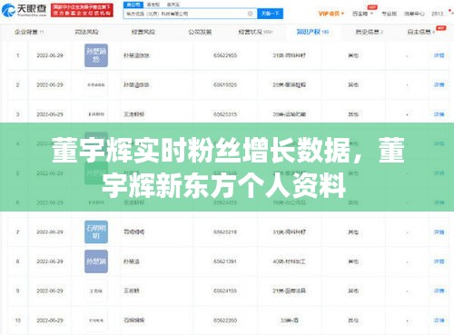 董宇辉实时粉丝增长数据，董宇辉新东方个人资料 