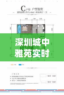 深圳城中雅苑实时房价，深圳城中雅苑开盘价格 
