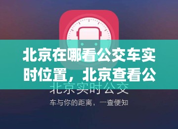 北京在哪看公交车实时位置，北京查看公交车的app 