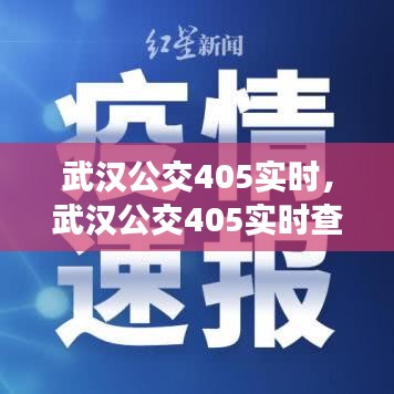 武汉公交405实时，武汉公交405实时查询线路图 