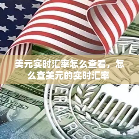 美元实时汇率怎么查看，怎么查美元的实时汇率 
