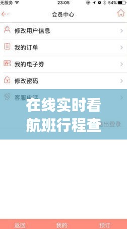 在线实时看航班行程查询，在线实时看航班行程查询app 