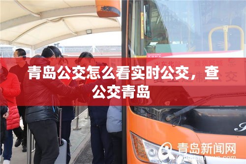 青岛公交怎么看实时公交，查公交青岛 