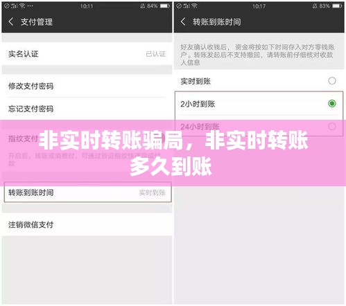 非实时转账骗局，非实时转账多久到账 