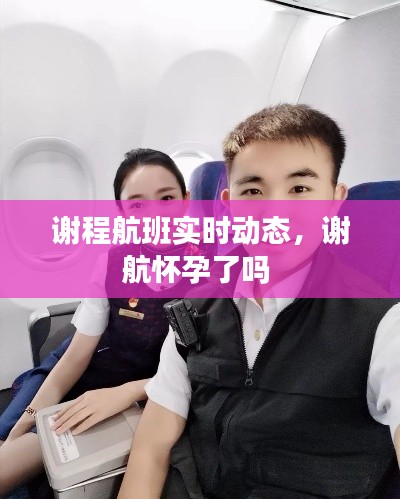 谢程航班实时动态，谢航怀孕了吗 