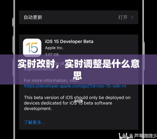 实时改时，实时调整是什么意思 