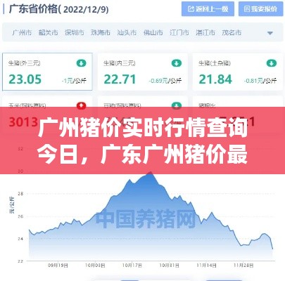 广州猪价实时行情查询今日，广东广州猪价最新消息 