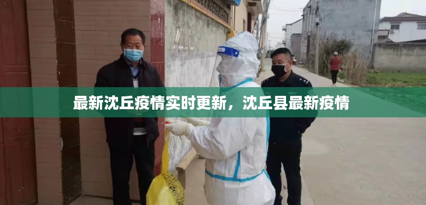 最新沈丘疫情实时更新，沈丘县最新疫情 
