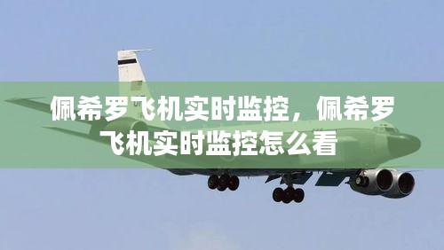 佩希罗飞机实时监控，佩希罗飞机实时监控怎么看 