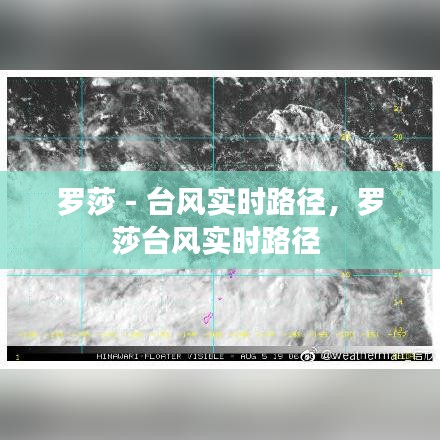 罗莎 - 台风实时路径，罗莎台风实时路径 