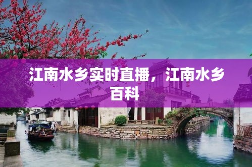 江南水乡实时直播，江南水乡百科 