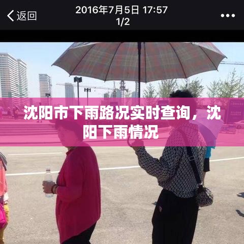 沈阳市下雨路况实时查询，沈阳下雨情况 