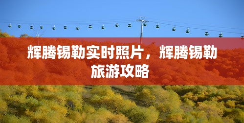池鱼笼鸟 第3页