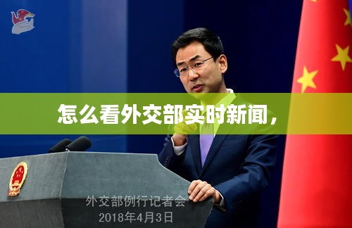 怎么看外交部实时新闻， 