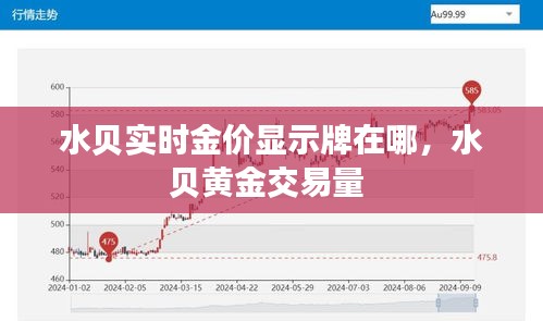 水贝实时金价显示牌在哪，水贝黄金交易量 