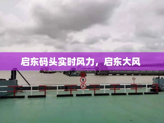 启东码头实时风力，启东大风 